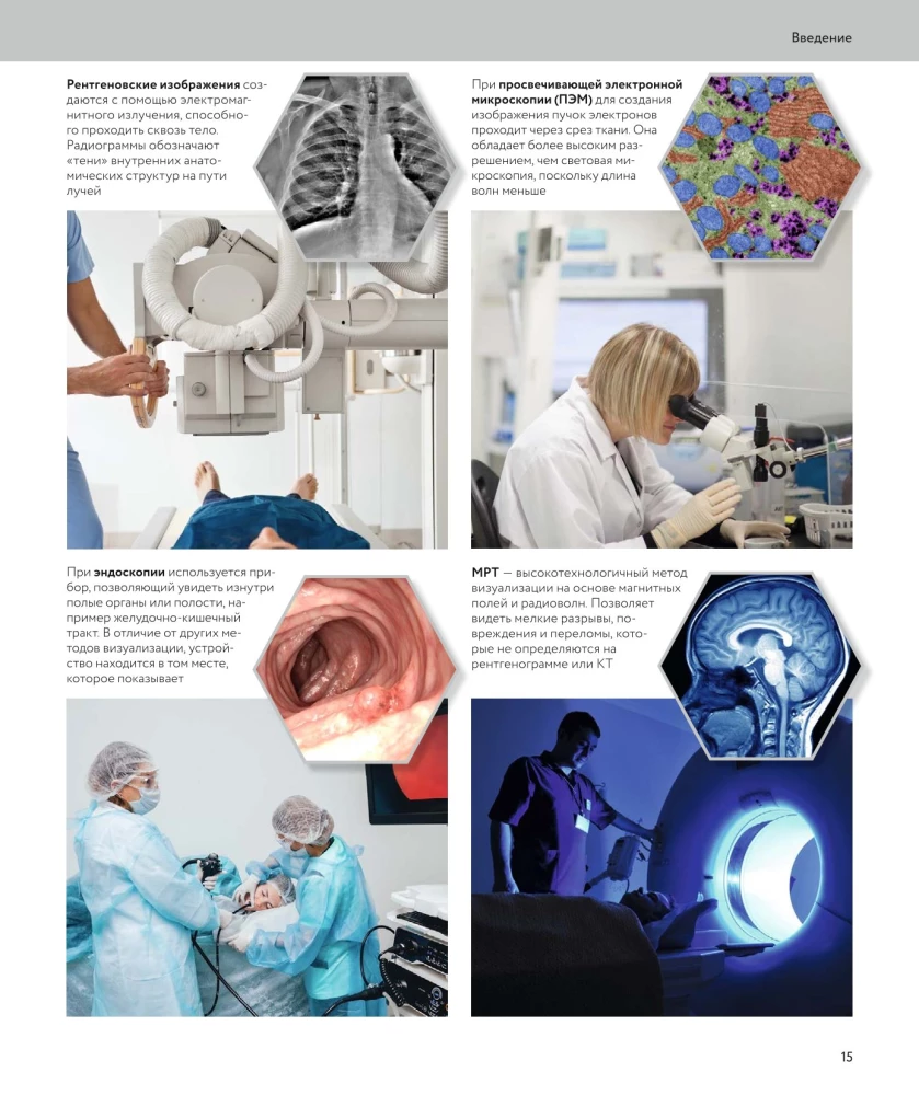 Anatomia człowieka. Wizualny przewodnik po wszystkich systemach organizmu: norma i patologie